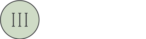 Inside Insight Interiors full logo